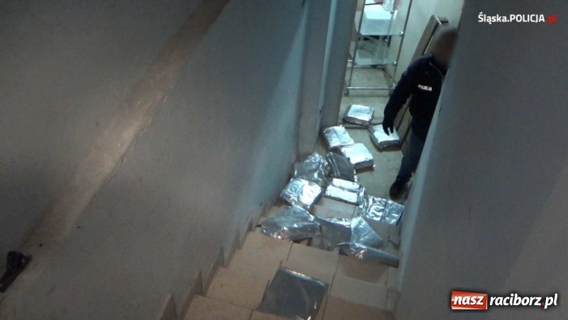 Zdjęcie w galerii na portalu naszraciborz.pl: Śląska policja uderzyła w gangi pseudokibiców. W tle narkotyki [FOTO i WIDEO] wiadomości z regionu