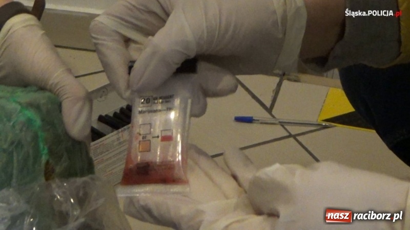 Zdjęcie w galerii na portalu naszraciborz.pl: Śląska policja uderzyła w gangi pseudokibiców. W tle narkotyki [FOTO i WIDEO] wiadomości z regionu