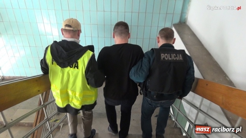 Zdjęcie w galerii na portalu naszraciborz.pl: Śląska policja uderzyła w gangi pseudokibiców. W tle narkotyki [FOTO i WIDEO] wiadomości z regionu