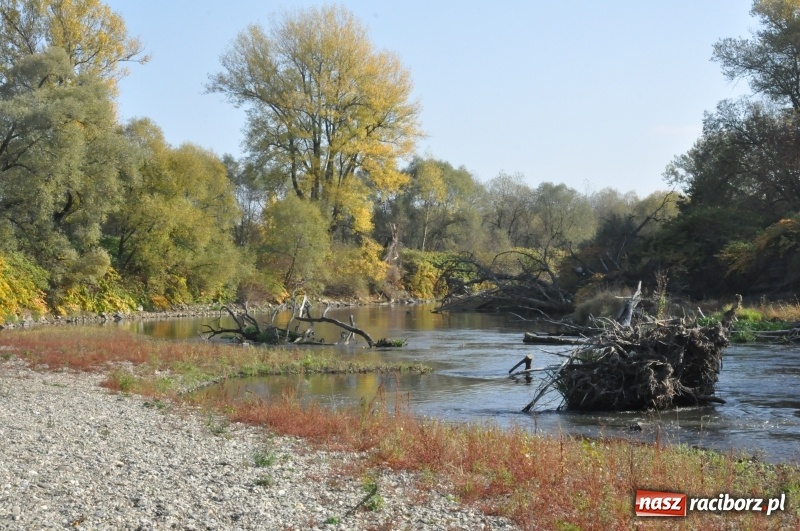 Zdjęcie w galerii na portalu naszraciborz.pl: Przejście graniczne w Chałupkach zamienią na muzeum [FOTO] wiadomości z regionu