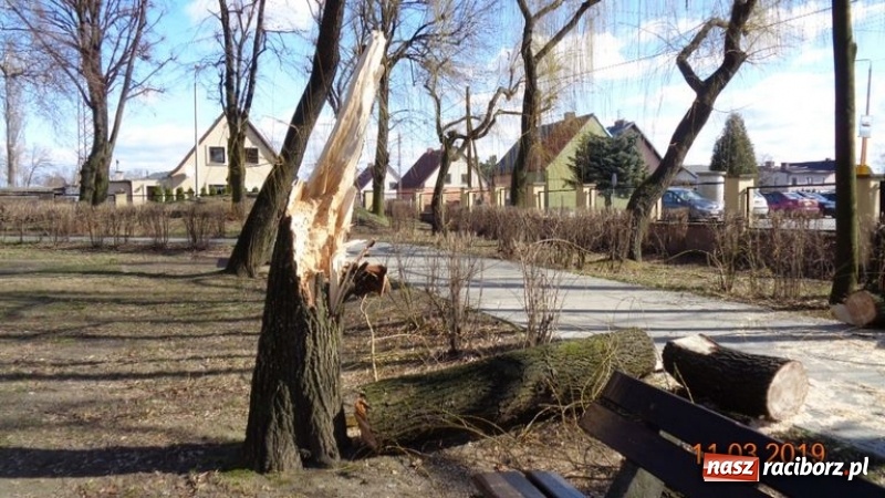 Zdjęcie w galerii na portalu naszraciborz.pl: Ślady po wichurze wciąż widoczne w Raciborzu wiadomości z regionu
