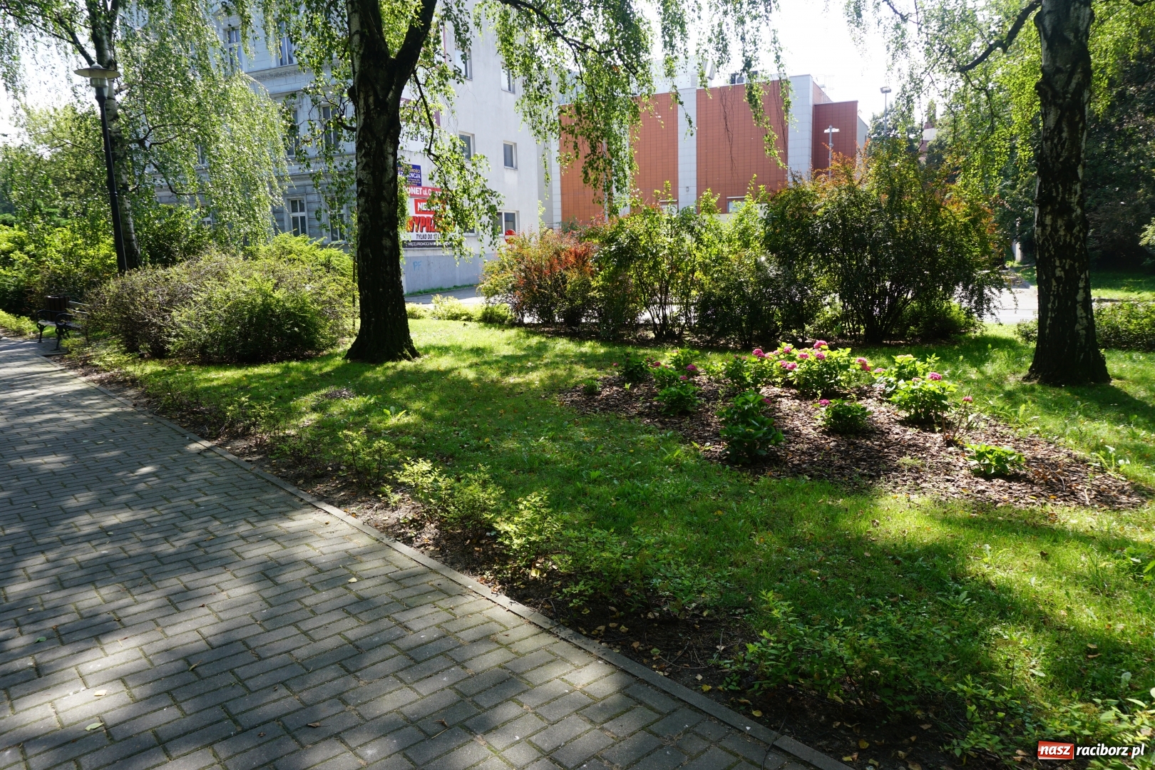 Zdjęcie w galerii na portalu naszraciborz.pl: Czyste miasto to nie tylko dobrze utrzymane drogi i chodniki wiadomości z regionu