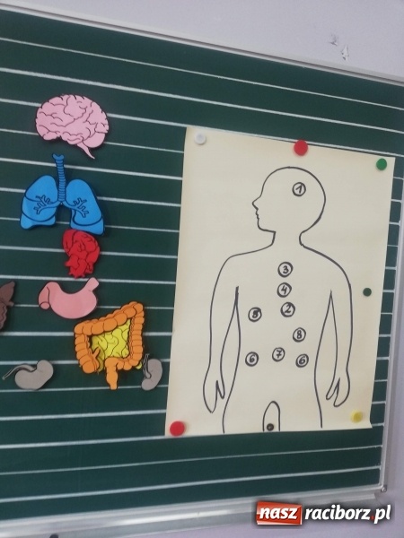 Zdjęcie w galerii na portalu naszraciborz.pl: Uczniowie SP4 uczyli rodziców zdrowego odżywiania wiadomości z regionu