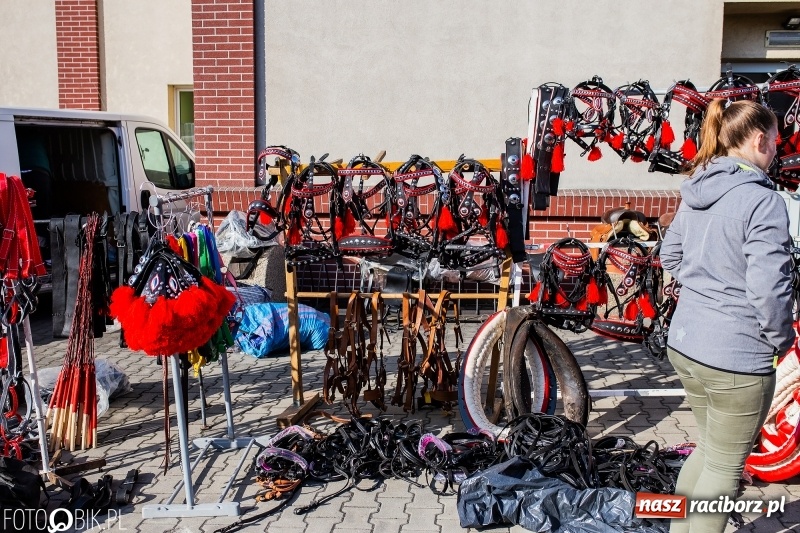 Zdjęcie w galerii na portalu naszraciborz.pl: Jarmark Staroci oraz Targ Koński w Pietrowicach Wielkich wiadomości z regionu