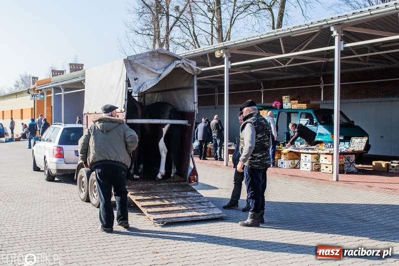 Zdjęcie w galerii na portalu naszraciborz.pl: Jarmark Staroci oraz Targ Koński w Pietrowicach Wielkich wiadomości z regionu
