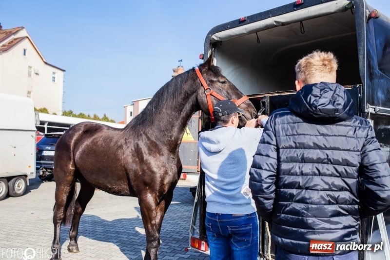 Zdjęcie w galerii na portalu naszraciborz.pl: Jarmark Staroci oraz Targ Koński w Pietrowicach Wielkich wiadomości z regionu