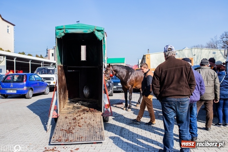 Zdjęcie w galerii na portalu naszraciborz.pl: Jarmark Staroci oraz Targ Koński w Pietrowicach Wielkich wiadomości z regionu
