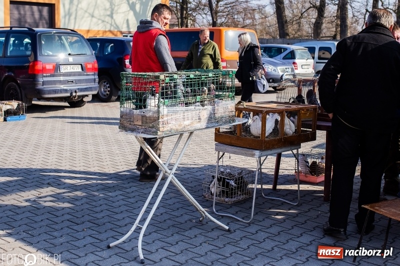 Zdjęcie w galerii na portalu naszraciborz.pl: Jarmark Staroci oraz Targ Koński w Pietrowicach Wielkich wiadomości z regionu