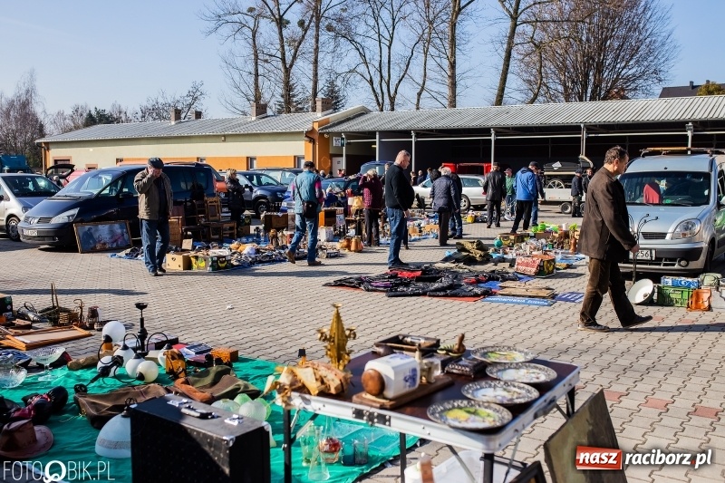 Zdjęcie w galerii na portalu naszraciborz.pl: Jarmark Staroci oraz Targ Koński w Pietrowicach Wielkich wiadomości z regionu