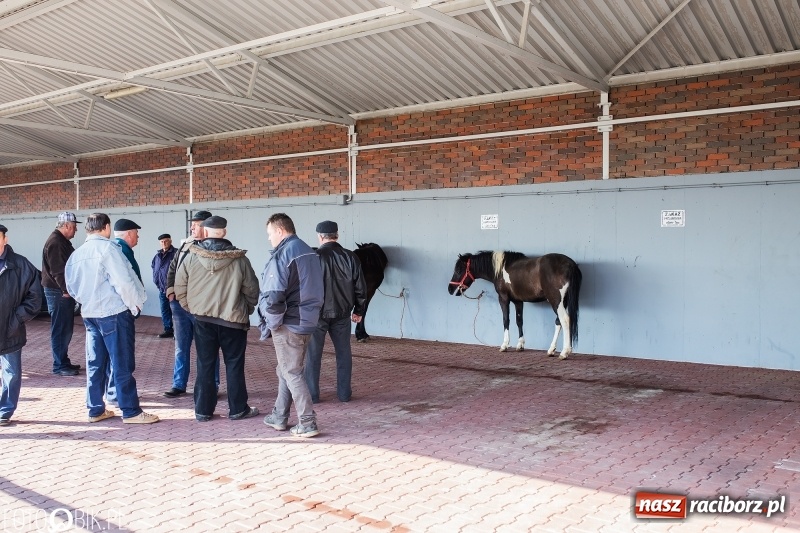 Zdjęcie w galerii na portalu naszraciborz.pl: Jarmark Staroci oraz Targ Koński w Pietrowicach Wielkich wiadomości z regionu