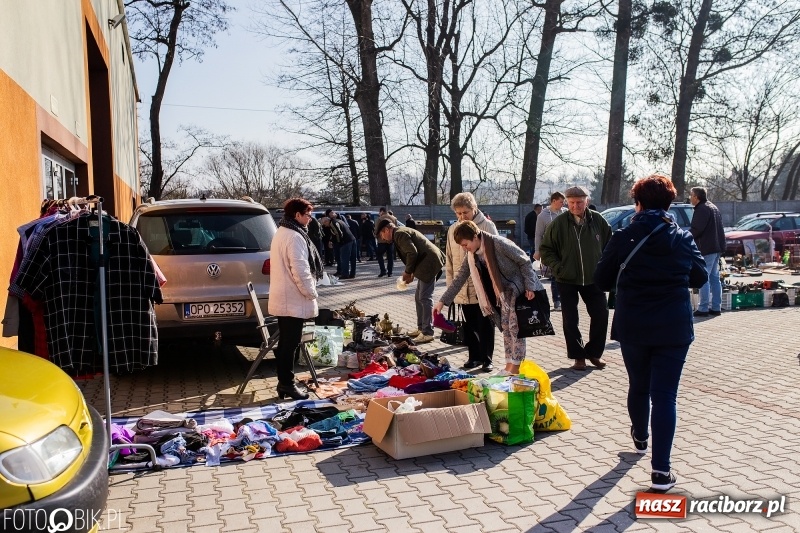 Zdjęcie w galerii na portalu naszraciborz.pl: Jarmark Staroci oraz Targ Koński w Pietrowicach Wielkich wiadomości z regionu