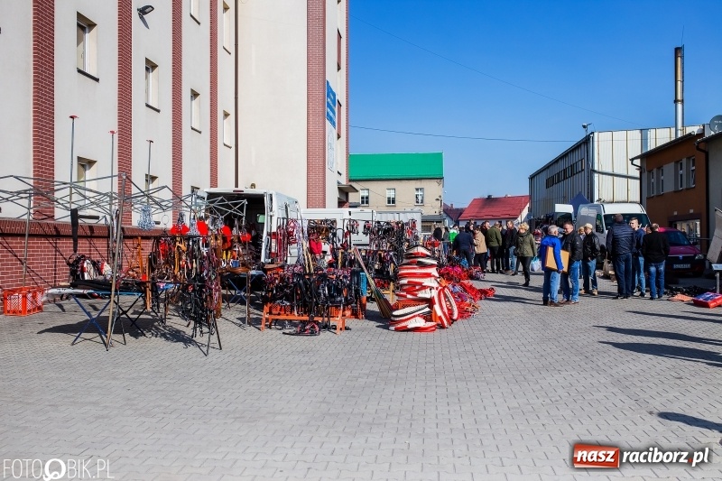 Zdjęcie w galerii na portalu naszraciborz.pl: Jarmark Staroci oraz Targ Koński w Pietrowicach Wielkich wiadomości z regionu