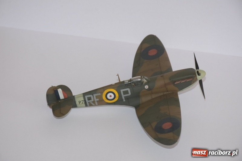 Zdjęcie w galerii na portalu naszraciborz.pl: Samoloty to moja pasja. Ogromna kolekcja modeli z Tworkowa [ZDJĘCIA] wiadomości z regionu