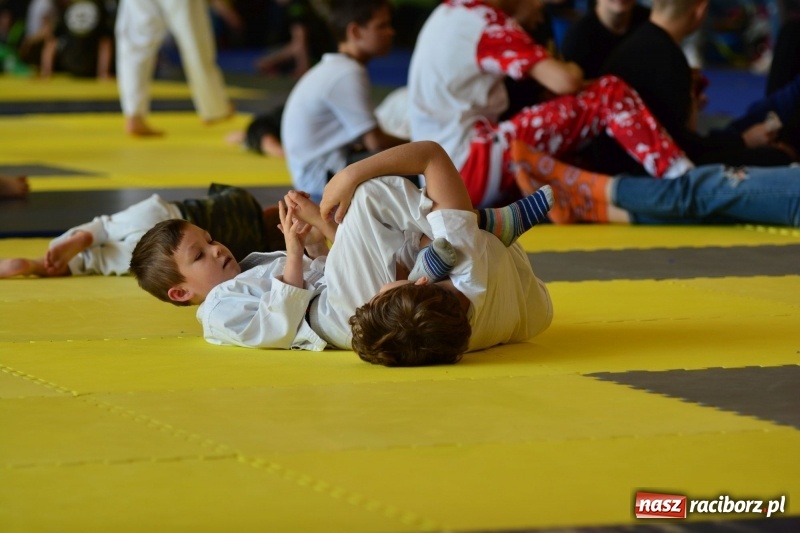Zdjęcie w galerii na portalu naszraciborz.pl: Ju-Jitsu sportowe królowało dziś w Kuźni Raciborskiej wiadomości z regionu