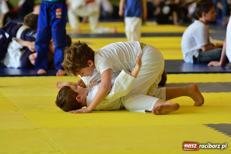 Zdjęcie w galerii na portalu naszraciborz.pl: Ju-Jitsu sportowe królowało dziś w Kuźni Raciborskiej wiadomości z regionu