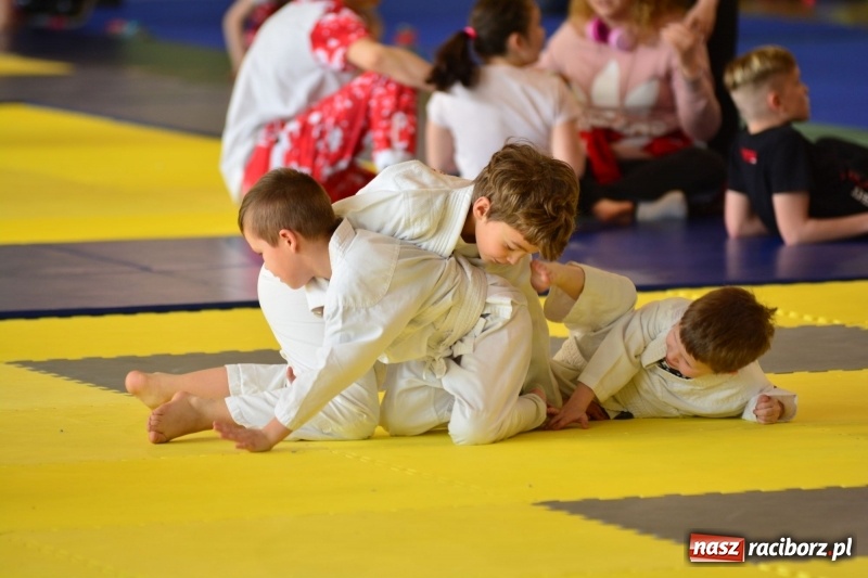 Zdjęcie w galerii na portalu naszraciborz.pl: Ju-Jitsu sportowe królowało dziś w Kuźni Raciborskiej wiadomości z regionu