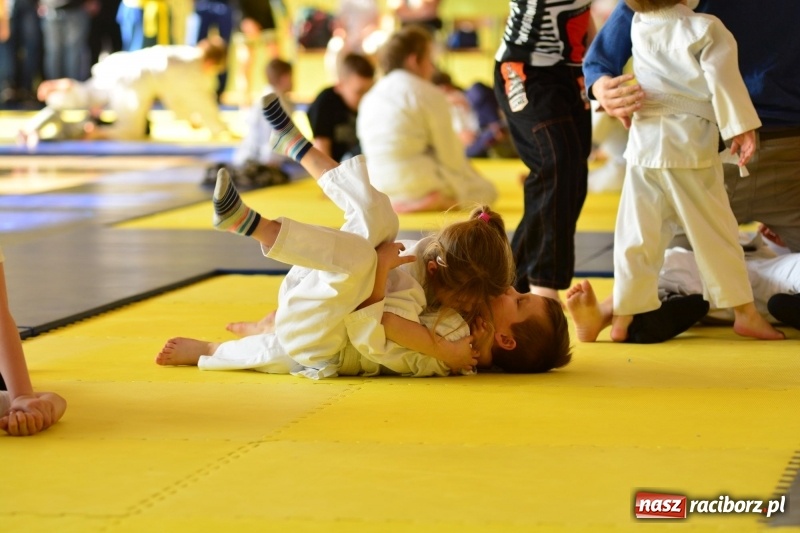 Zdjęcie w galerii na portalu naszraciborz.pl: Ju-Jitsu sportowe królowało dziś w Kuźni Raciborskiej wiadomości z regionu