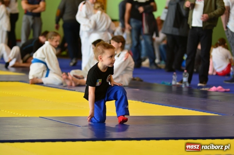Zdjęcie w galerii na portalu naszraciborz.pl: Ju-Jitsu sportowe królowało dziś w Kuźni Raciborskiej wiadomości z regionu