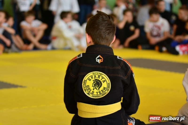 Zdjęcie w galerii na portalu naszraciborz.pl: Ju-Jitsu sportowe królowało dziś w Kuźni Raciborskiej wiadomości z regionu