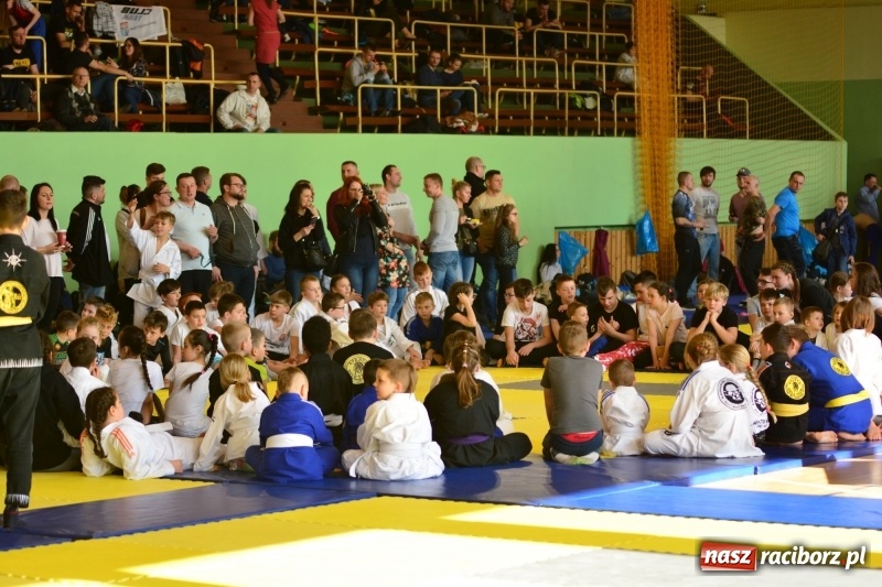 Zdjęcie w galerii na portalu naszraciborz.pl: Ju-Jitsu sportowe królowało dziś w Kuźni Raciborskiej wiadomości z regionu