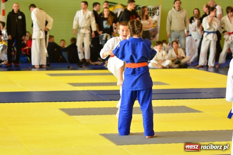 Zdjęcie w galerii na portalu naszraciborz.pl: Ju-Jitsu sportowe królowało dziś w Kuźni Raciborskiej wiadomości z regionu