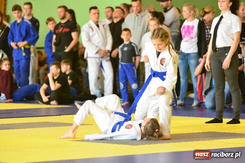 Zdjęcie w galerii na portalu naszraciborz.pl: Ju-Jitsu sportowe królowało dziś w Kuźni Raciborskiej wiadomości z regionu