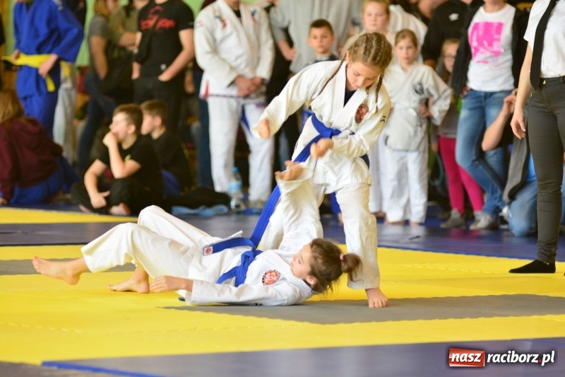 Zdjęcie w galerii na portalu naszraciborz.pl: Ju-Jitsu sportowe królowało dziś w Kuźni Raciborskiej wiadomości z regionu