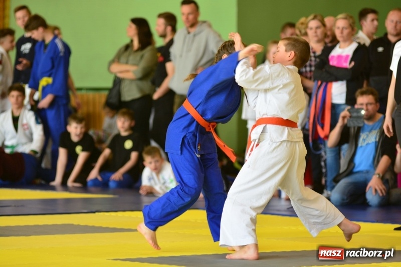 Zdjęcie w galerii na portalu naszraciborz.pl: Ju-Jitsu sportowe królowało dziś w Kuźni Raciborskiej wiadomości z regionu
