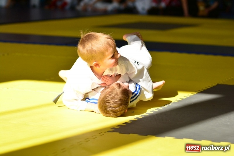 Zdjęcie w galerii na portalu naszraciborz.pl: Ju-Jitsu sportowe królowało dziś w Kuźni Raciborskiej wiadomości z regionu