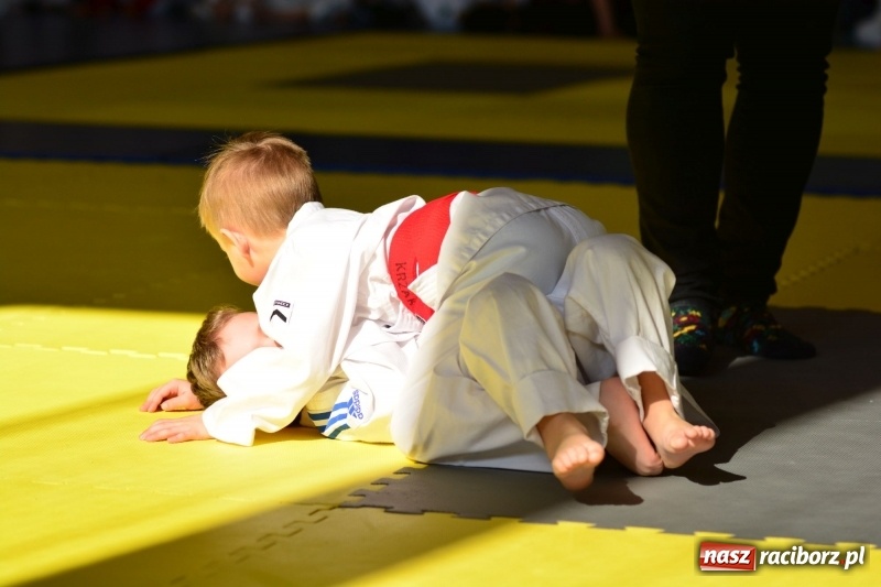 Zdjęcie w galerii na portalu naszraciborz.pl: Ju-Jitsu sportowe królowało dziś w Kuźni Raciborskiej wiadomości z regionu