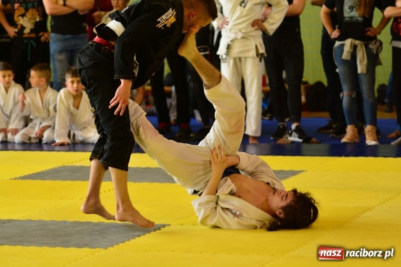 Zdjęcie w galerii na portalu naszraciborz.pl: Ju-Jitsu sportowe królowało dziś w Kuźni Raciborskiej wiadomości z regionu