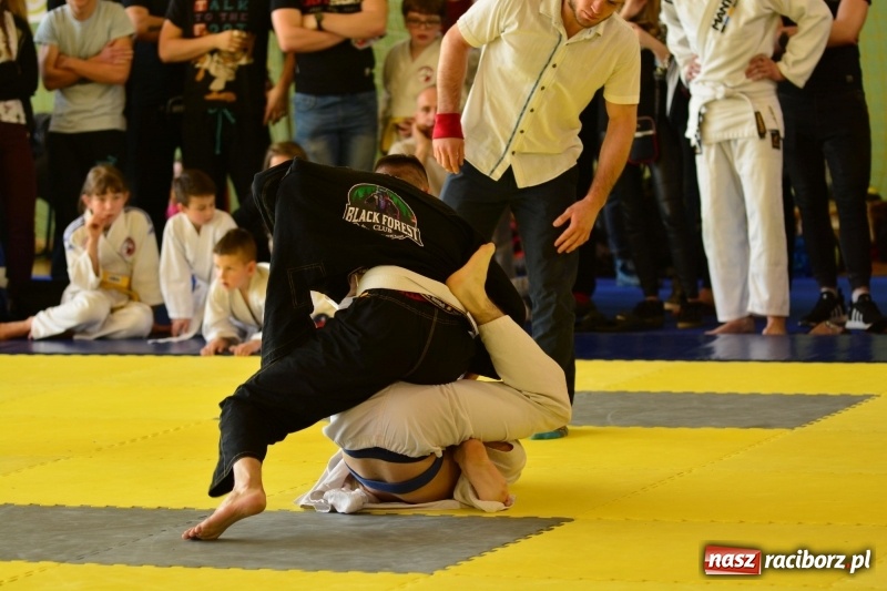 Zdjęcie w galerii na portalu naszraciborz.pl: Ju-Jitsu sportowe królowało dziś w Kuźni Raciborskiej wiadomości z regionu