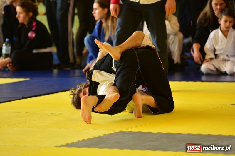 Zdjęcie w galerii na portalu naszraciborz.pl: Ju-Jitsu sportowe królowało dziś w Kuźni Raciborskiej wiadomości z regionu