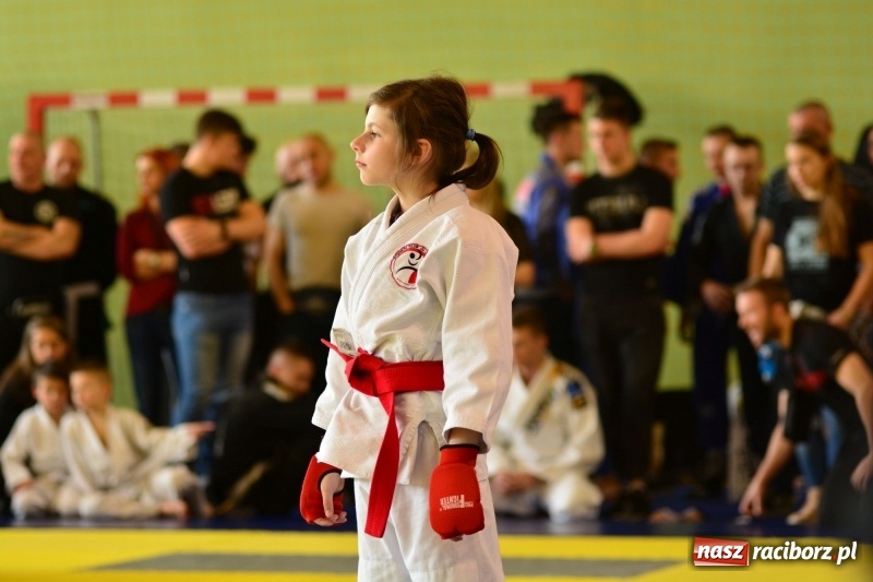 Zdjęcie w galerii na portalu naszraciborz.pl: Ju-Jitsu sportowe królowało dziś w Kuźni Raciborskiej wiadomości z regionu