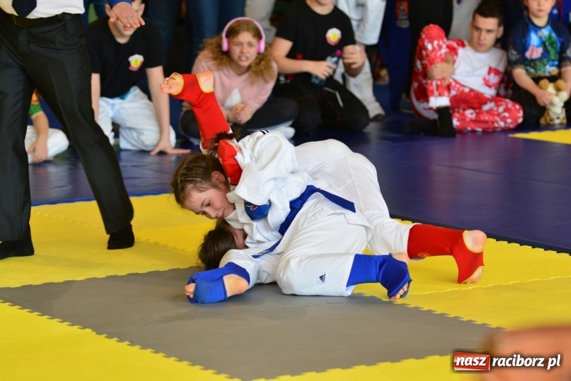 Zdjęcie w galerii na portalu naszraciborz.pl: Ju-Jitsu sportowe królowało dziś w Kuźni Raciborskiej wiadomości z regionu