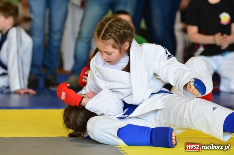 Zdjęcie w galerii na portalu naszraciborz.pl: Ju-Jitsu sportowe królowało dziś w Kuźni Raciborskiej wiadomości z regionu