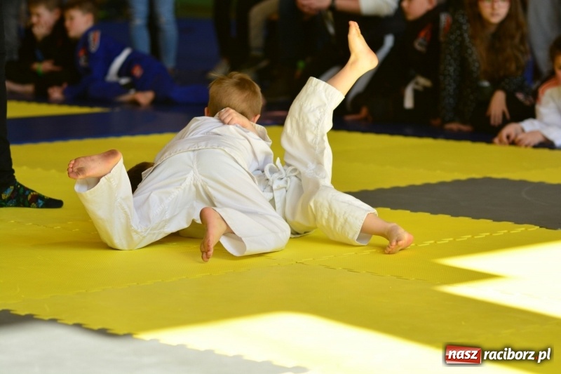 Zdjęcie w galerii na portalu naszraciborz.pl: Ju-Jitsu sportowe królowało dziś w Kuźni Raciborskiej wiadomości z regionu