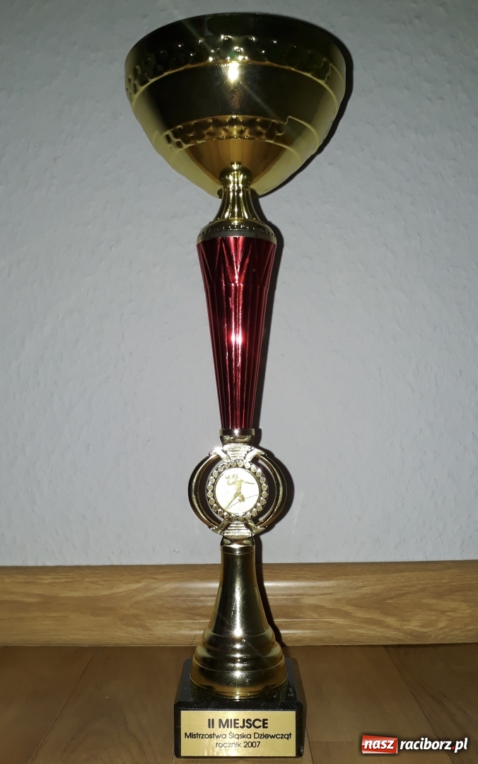 Zdjęcie w galerii na portalu naszraciborz.pl: Szczypiornistki z Pietrowic wicemistrzyniami Śląska wiadomości z regionu