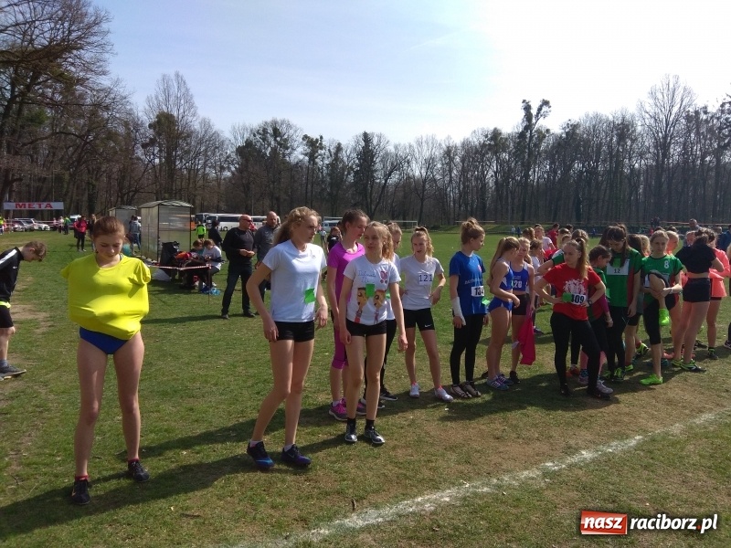 Zdjęcie w galerii na portalu naszraciborz.pl: Raciborskie biegaczki na medal  wiadomości z regionu