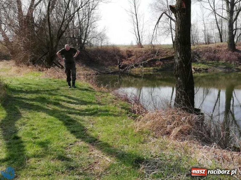 Zdjęcie w galerii na portalu naszraciborz.pl: Łowisko Łęg zostało posprzątane wiadomości z regionu