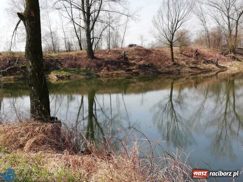 Zdjęcie w galerii na portalu naszraciborz.pl: Łowisko Łęg zostało posprzątane wiadomości z regionu