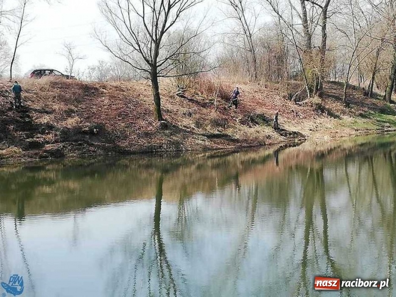 Zdjęcie w galerii na portalu naszraciborz.pl: Łowisko Łęg zostało posprzątane wiadomości z regionu