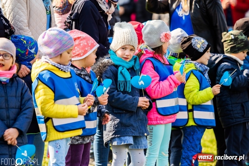 Zdjęcie w galerii na portalu naszraciborz.pl: Świecimy razem dla autyzmu. Happening w Szkole Podstawowej nr 1 wiadomości z regionu