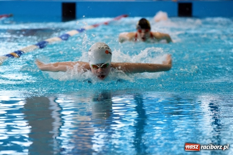 Zdjęcie w galerii na portalu naszraciborz.pl: Dobra passa pływaków z SP 15  wiadomości z regionu