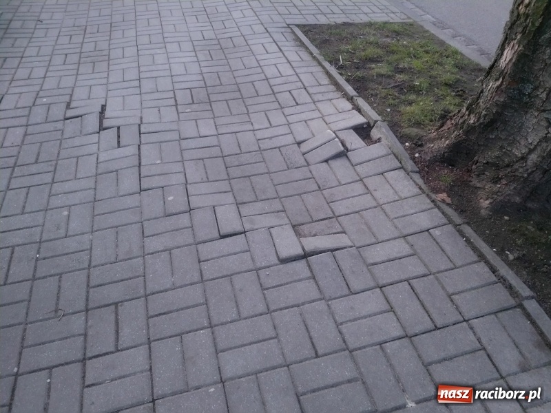 Zdjęcie w galerii na portalu naszraciborz.pl: Ten chodnik woła o pomstę do nieba  wiadomości z regionu