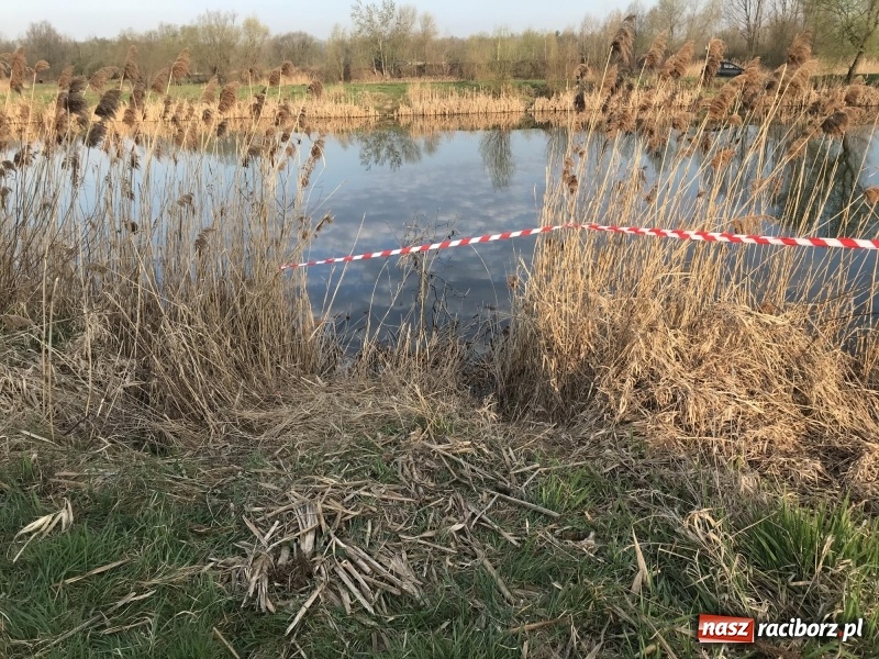 Zdjęcie w galerii na portalu naszraciborz.pl: Akcja na żwirowni. Ford stoczył się do wody [FOTO i WIDEO] wiadomości z regionu