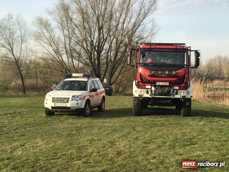 Zdjęcie w galerii na portalu naszraciborz.pl: Akcja na żwirowni. Ford stoczył się do wody [FOTO i WIDEO] wiadomości z regionu