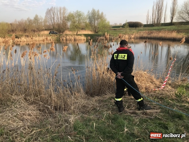 Zdjęcie w galerii na portalu naszraciborz.pl: Akcja na żwirowni. Ford stoczył się do wody [FOTO i WIDEO] wiadomości z regionu