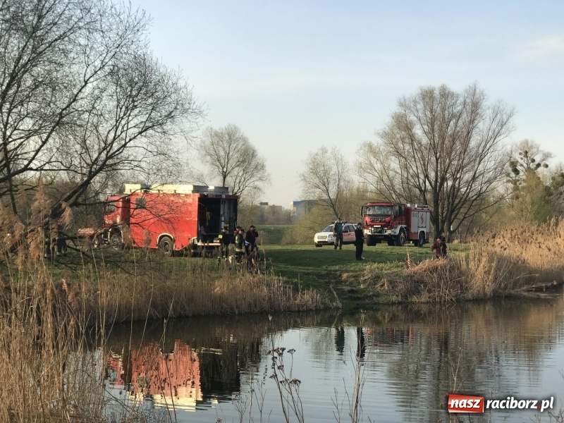 Zdjęcie w galerii na portalu naszraciborz.pl: Akcja na żwirowni. Ford stoczył się do wody [FOTO i WIDEO] wiadomości z regionu