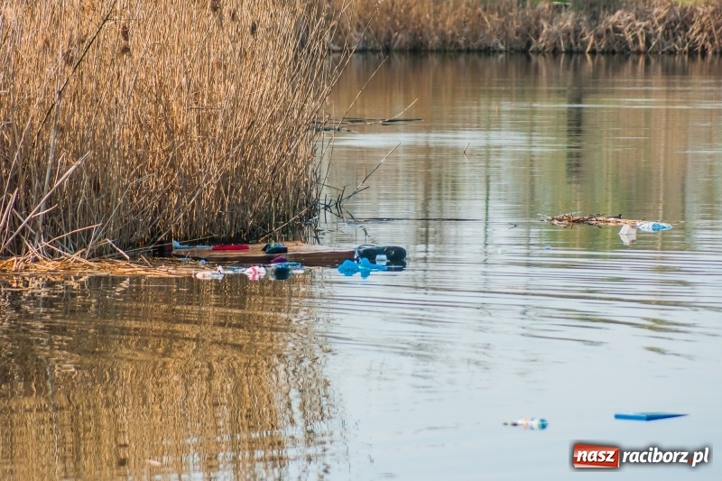 Zdjęcie w galerii na portalu naszraciborz.pl: Mega City wyciągnęło ze żwirowni zatopionego forda [FOTO i WIDEO] wiadomości z regionu